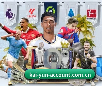 kaiyun APP