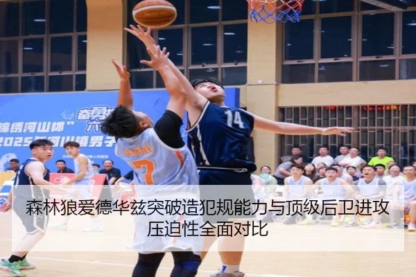 森林狼爱德华兹突破造犯规能力与顶级后卫进攻压迫性全面对比