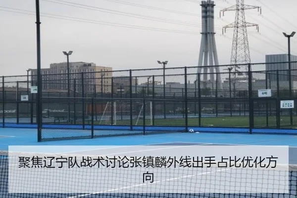聚焦辽宁队战术讨论张镇麟外线出手占比优化方向
